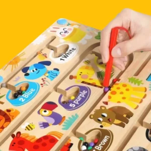 Magnetic Mazes: Mainan Sorting Warna Magnetic