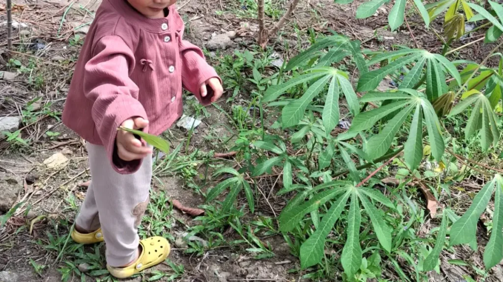 contoh aktivitas sensory play anak